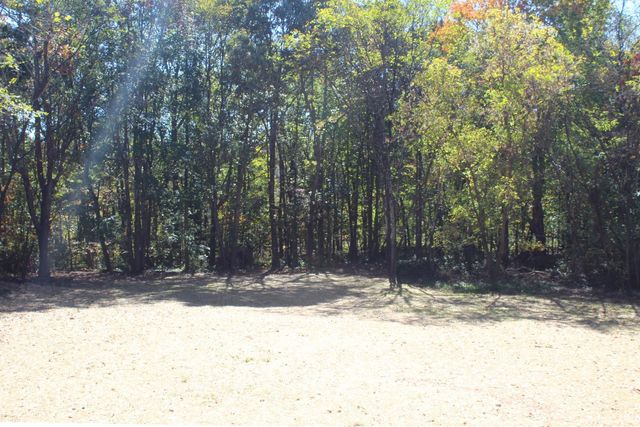 156 Dogwood Hills Drive, Spout Spring, VA 24593