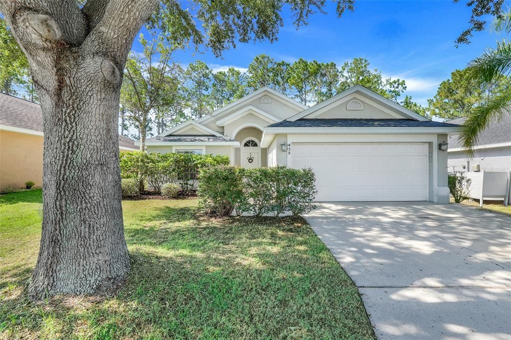 458 HALSTEAD DRIVE, Davenport, FL 33897