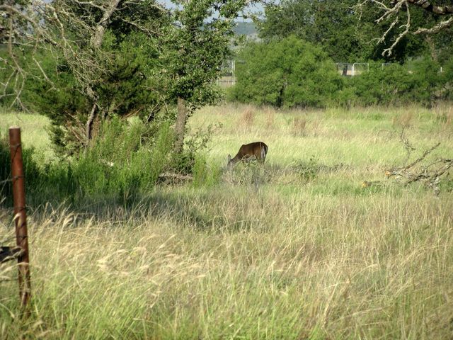 2171 County Road 419, Evant, TX 76525