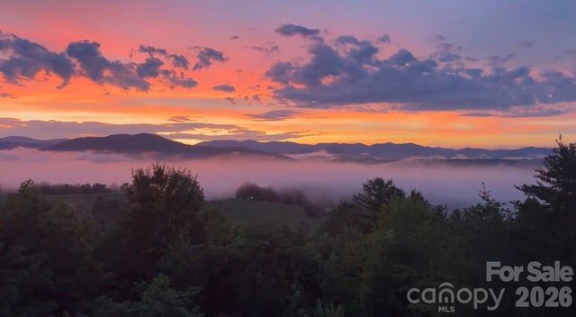 101 Balsamwood Road, Leicester, NC 28748