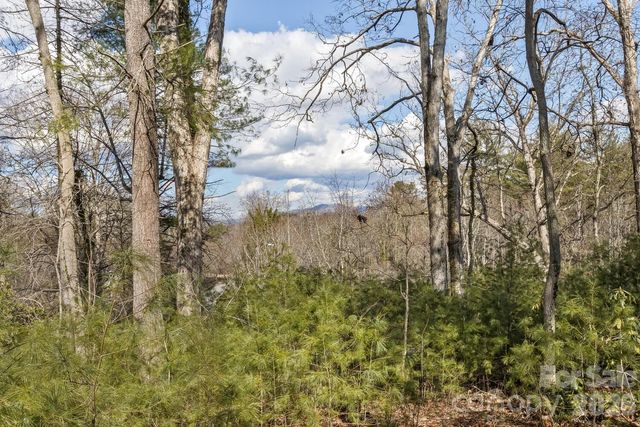 68 Acorn Road, Asheville, NC 28804