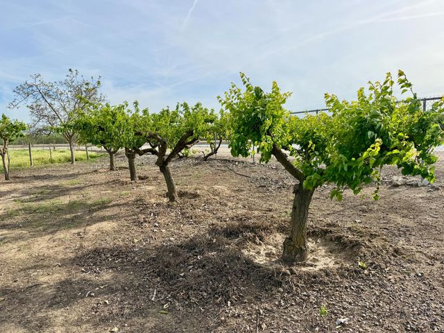 7484 Dusty Ln, Modesto, CA 95357