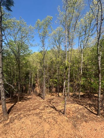 94 Noelle's Pass, Murphy, NC 28906
