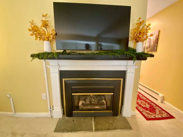 85 Townhouse Way Apt 14, Woodstock, VT 05091