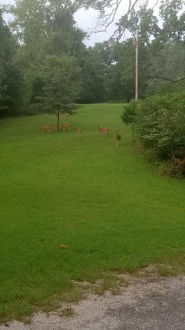 3088 Mo Ark, Cedarcreek, MO 65627