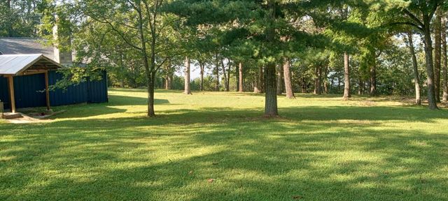 3088 Mo Ark, Cedarcreek, MO 65627