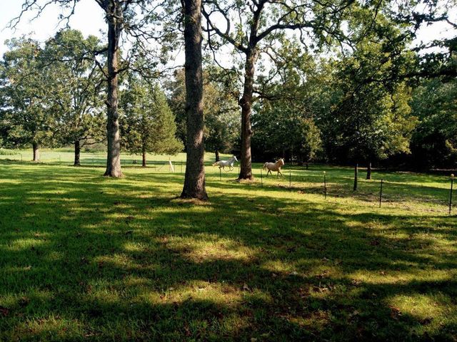 3088 Mo Ark, Cedarcreek, MO 65627