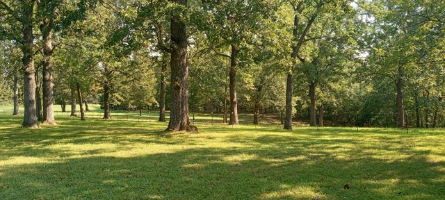 3088 Mo Ark, Cedarcreek, MO 65627