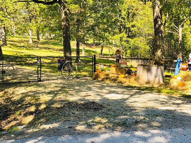 3088 Mo Ark, Cedarcreek, MO 65627