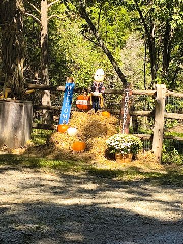 3088 Mo Ark, Cedarcreek, MO 65627