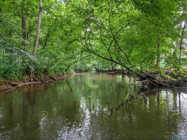 2605 Ready Section Road, Toney, AL 35773