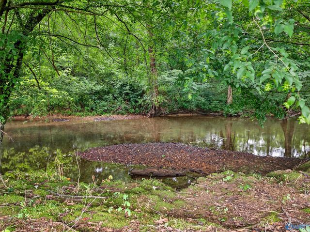 2605 Ready Section Road, Toney, AL 35773