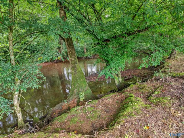 2605 Ready Section Road, Toney, AL 35773