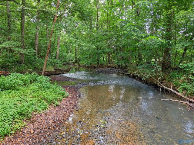2605 Ready Section Road, Toney, AL 35773