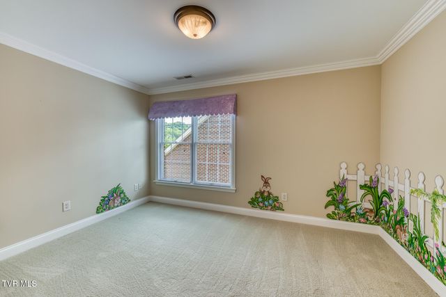 931 Shadyside Drive, Kingsport, TN 37663