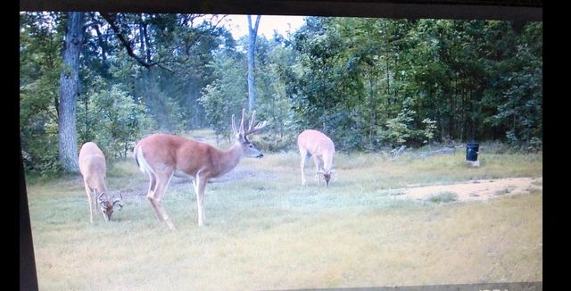 W11115 CTH W, Crivitz, WI 54114