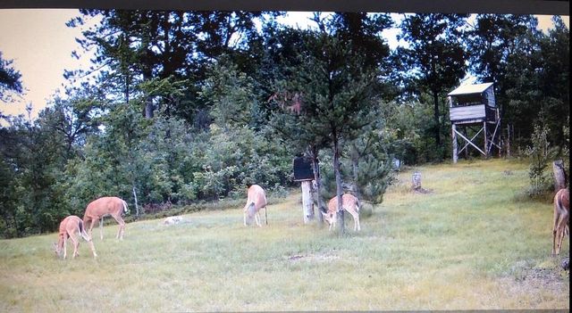 W11115 CTH W, Crivitz, WI 54114