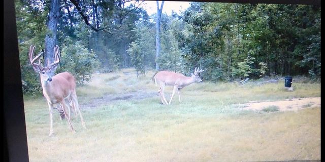 W11115 CTH W, Crivitz, WI 54114