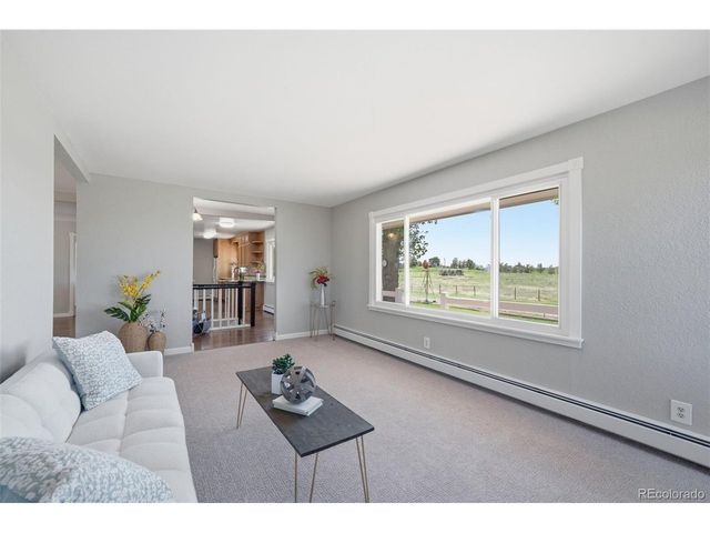 42593 London Dr, Parker, CO 80138