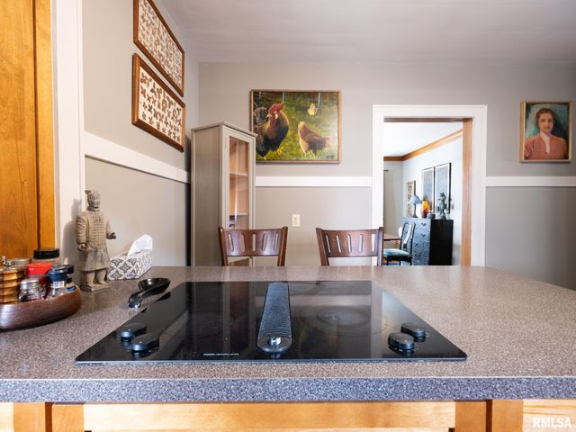 513 W MELBOURNE Avenue, Peoria, IL 61604