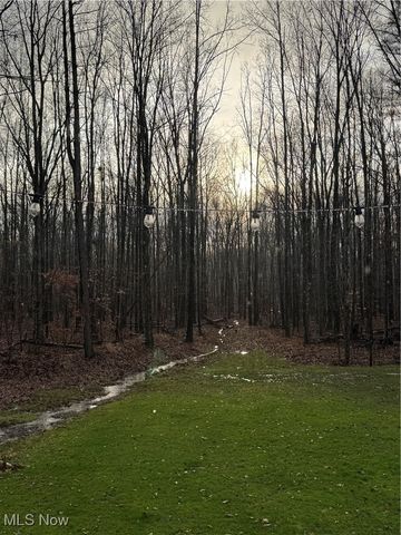 11495 Campfire Circle, Canfield, OH 44406