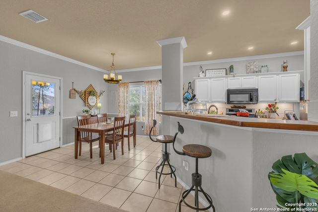 1933 Spotted Owl, New Braunfels, TX 78130