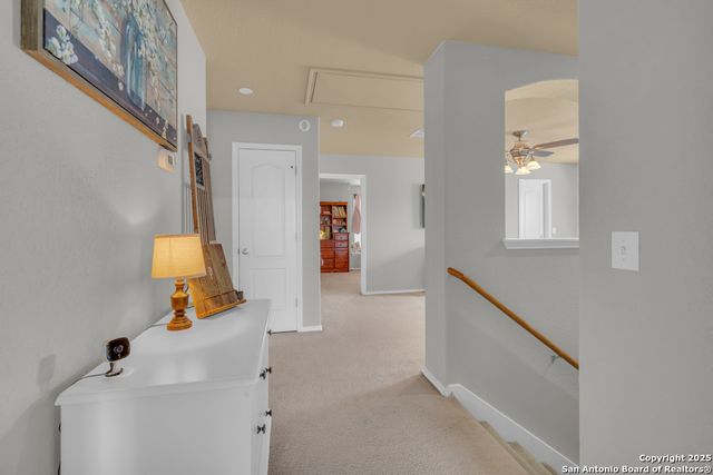 1933 Spotted Owl, New Braunfels, TX 78130