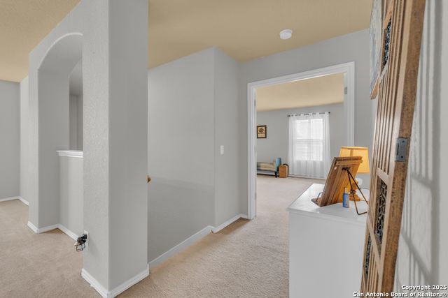 1933 Spotted Owl, New Braunfels, TX 78130