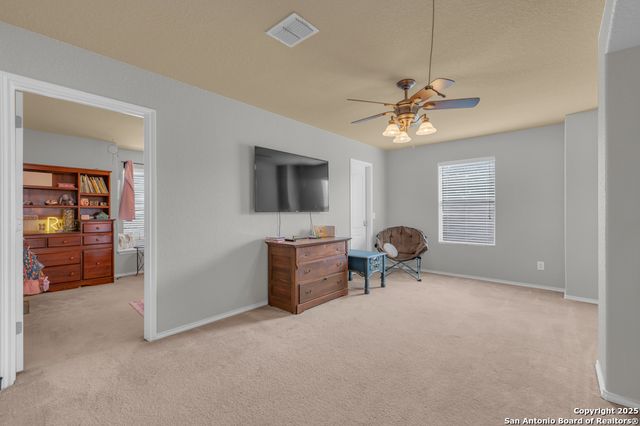 1933 Spotted Owl, New Braunfels, TX 78130