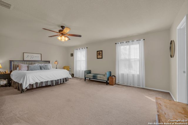 1933 Spotted Owl, New Braunfels, TX 78130