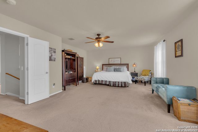 1933 Spotted Owl, New Braunfels, TX 78130