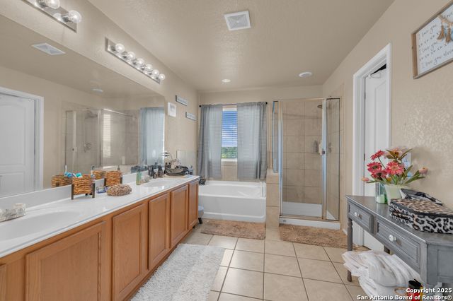 1933 Spotted Owl, New Braunfels, TX 78130