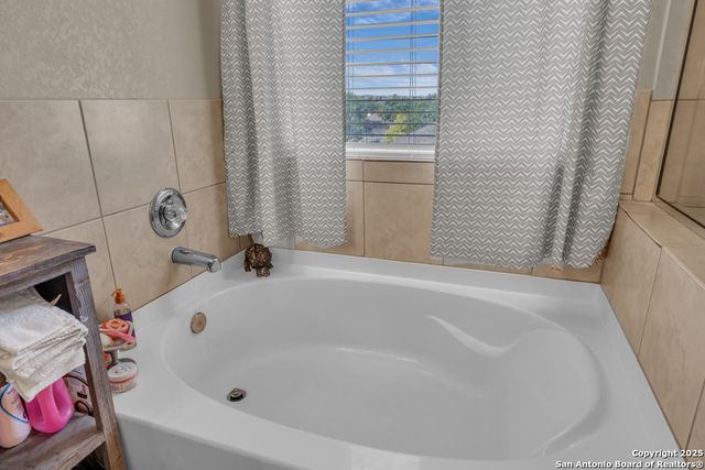 1933 Spotted Owl, New Braunfels, TX 78130