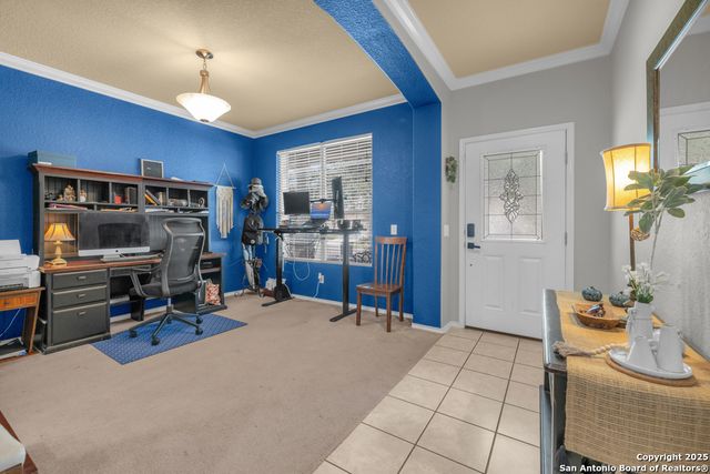 1933 Spotted Owl, New Braunfels, TX 78130