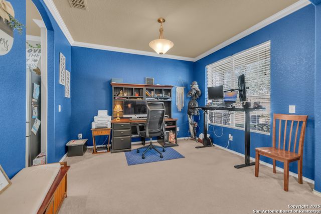 1933 Spotted Owl, New Braunfels, TX 78130