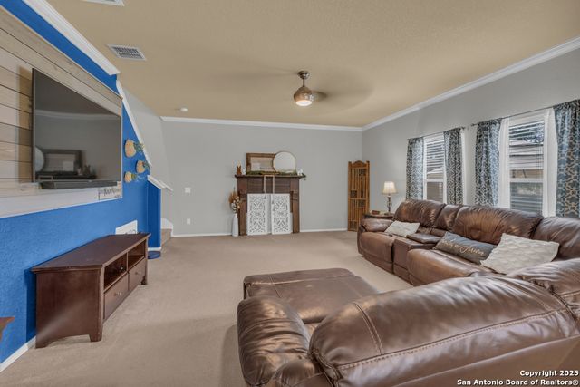 1933 Spotted Owl, New Braunfels, TX 78130