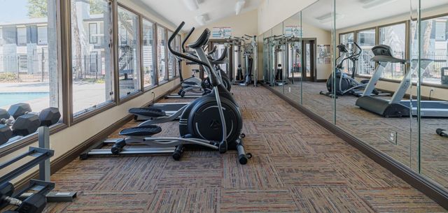 200 Hallow Tree Lane 2081-1, Houston, TX 77090