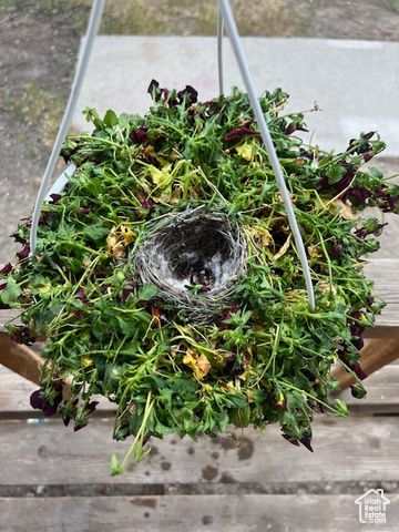 451 E 6000 N, Kenilworth, UT 84529