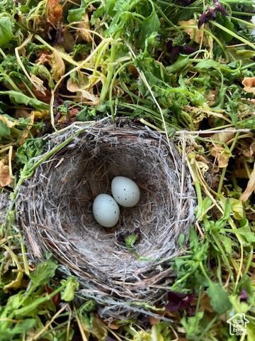 451 E 6000 N, Kenilworth, UT 84529