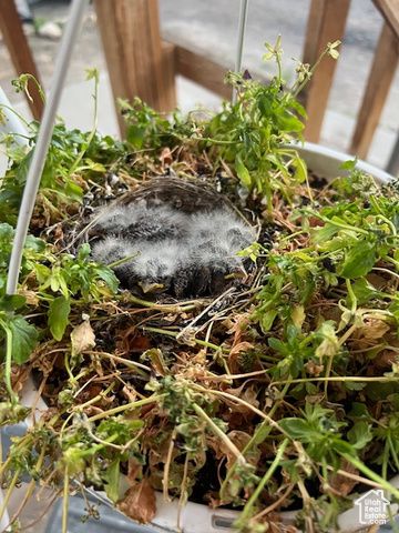 451 E 6000 N, Kenilworth, UT 84529