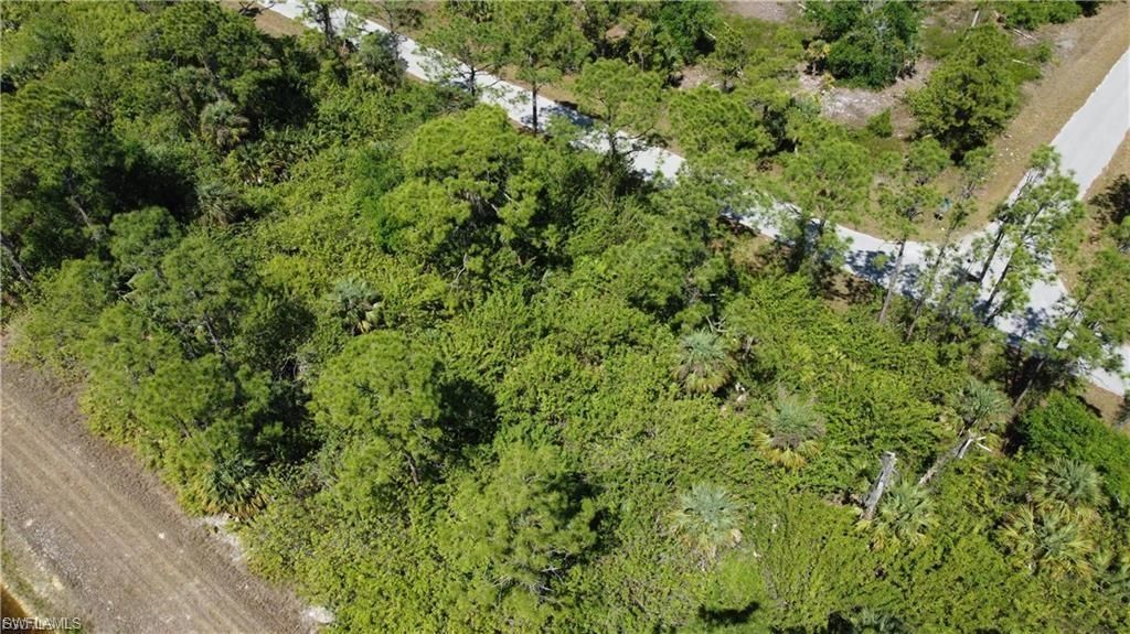 1146 Randolph ST, LEHIGH ACRES, FL 33974 — photo 2