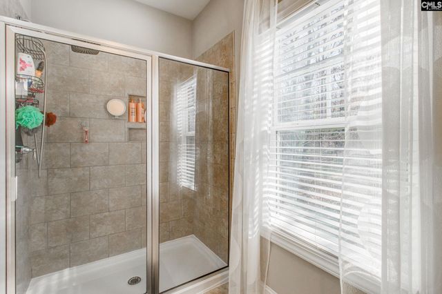 380 Bent Oak Dr, Chapin, SC 29036