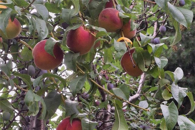 25956 E Jamison Circle S, Aurora, CO 80016