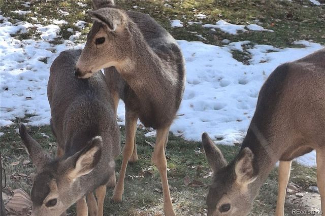 25956 E Jamison Circle S, Aurora, CO 80016