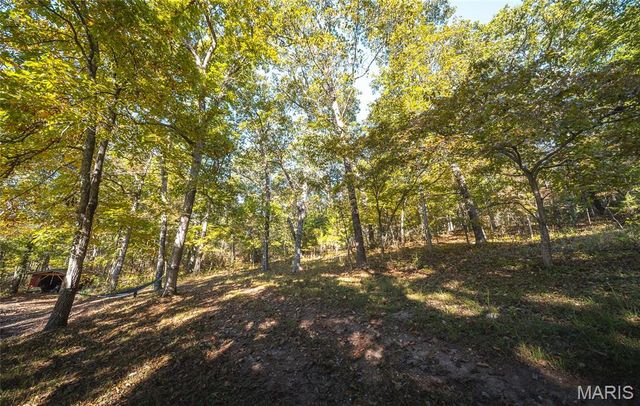 13748 Private Drive 3625, St James, MO 65559