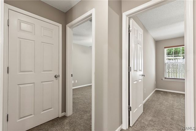 92 Orange, Tuscaloosa, AL 35401
