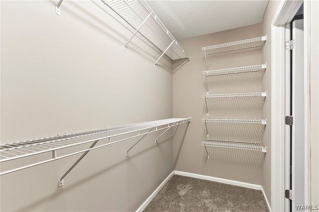 92 Orange, Tuscaloosa, AL 35401