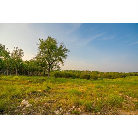 000 River Shoals DR, Kempner, TX 76539