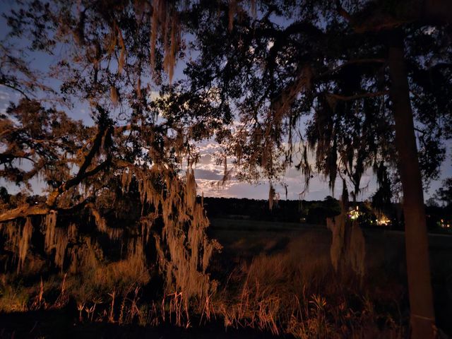 2340 Ashley River Road, Charleston, SC 29414