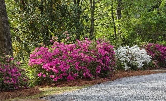 2340 Ashley River Road, Charleston, SC 29414